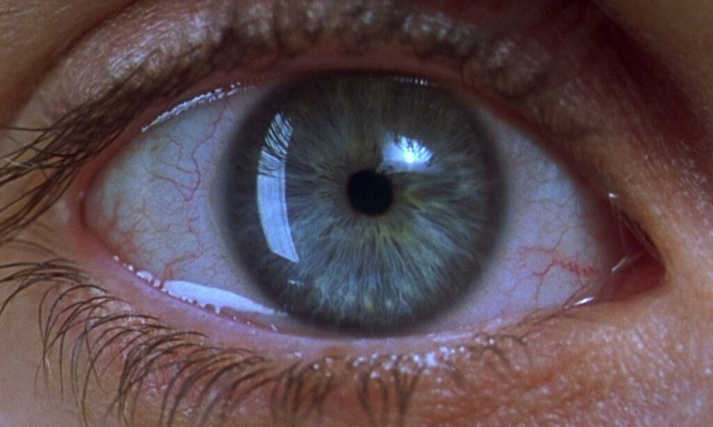 Best Movies About Addiction | Tilt Magazine