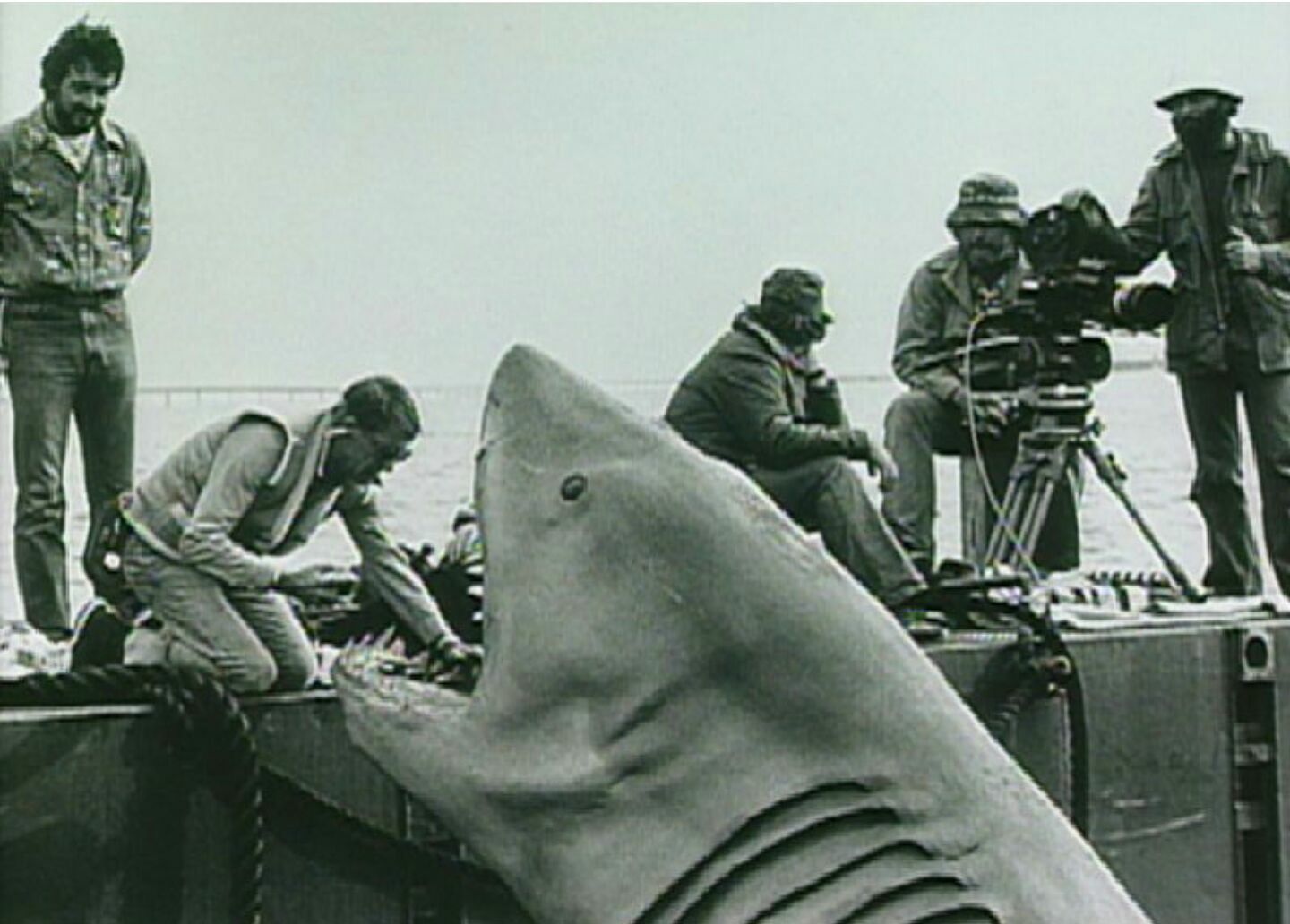 The Making of Jaws – Steven Spielberg's Masterpiece | Tilt Magazine