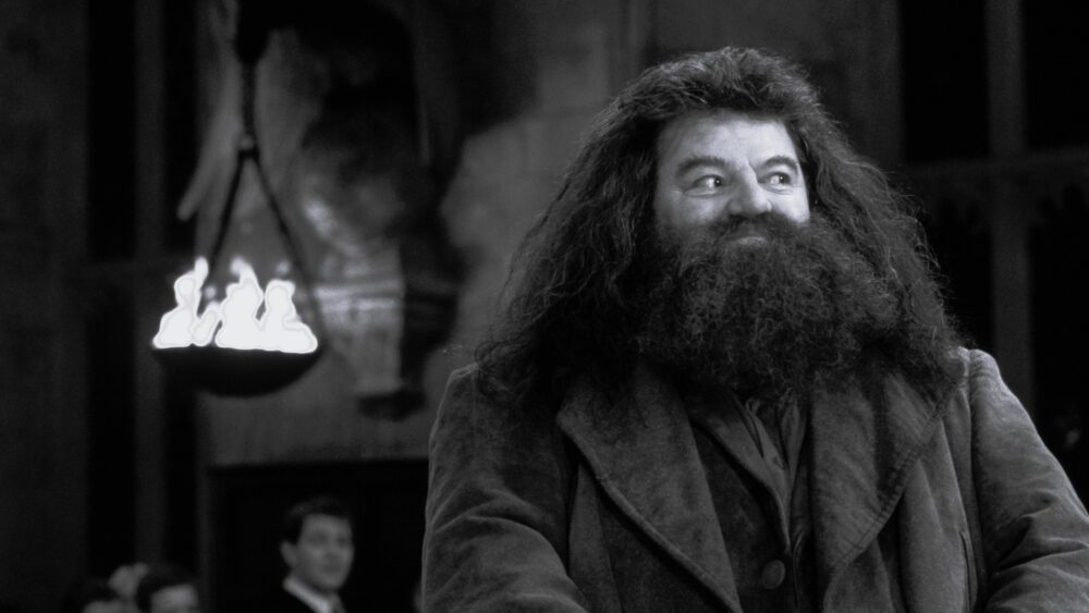 Robbie Coltrane