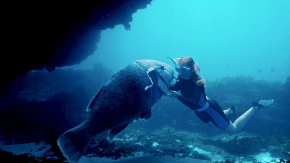 Blueback film review
